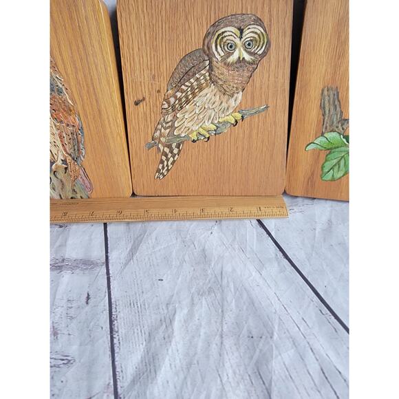 Vintage Hand painted Owl Wooden Plaques Set 3 Barn Owl Great Horned Owl Folk Art - Picture 5 of 10
